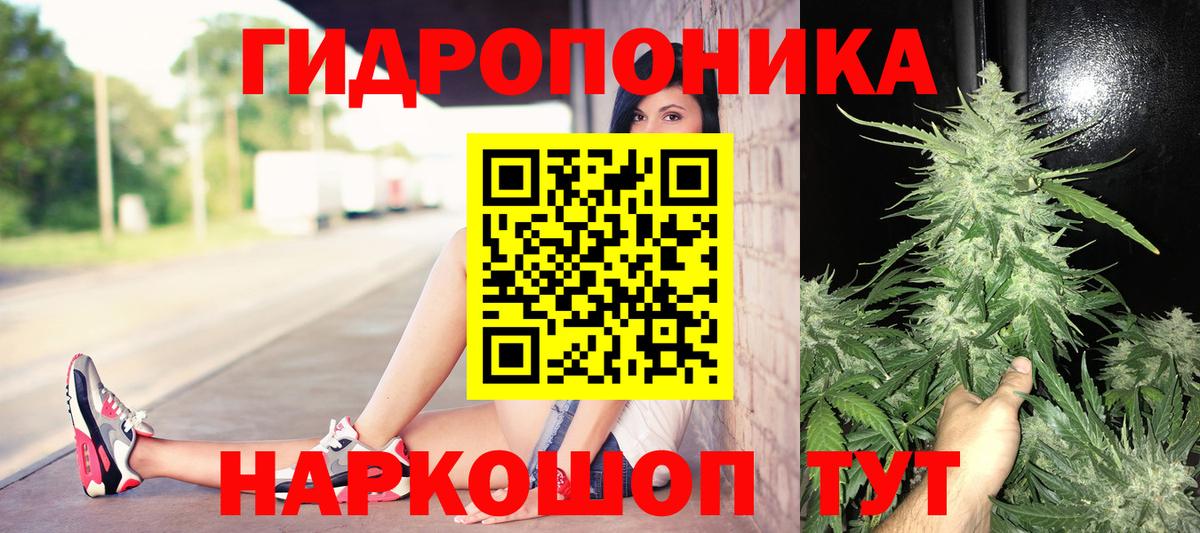 МАРИХУАНА ГИДРОПОН  Бошки марихуана конопля  Конопля марихуана  Вход с VPN  Аксай  Шишки марихуана White Widow 